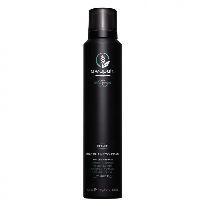 Paul Mitchell Dry Shampoo Foam (195ml) test