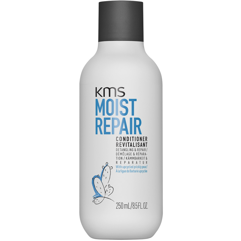Moist Repair Conditioner (250 ml)