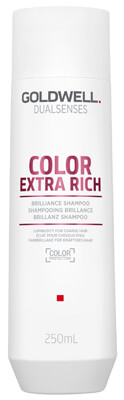 Goldwell Dualsenses Color Extra Rich Brilliance Shampoo