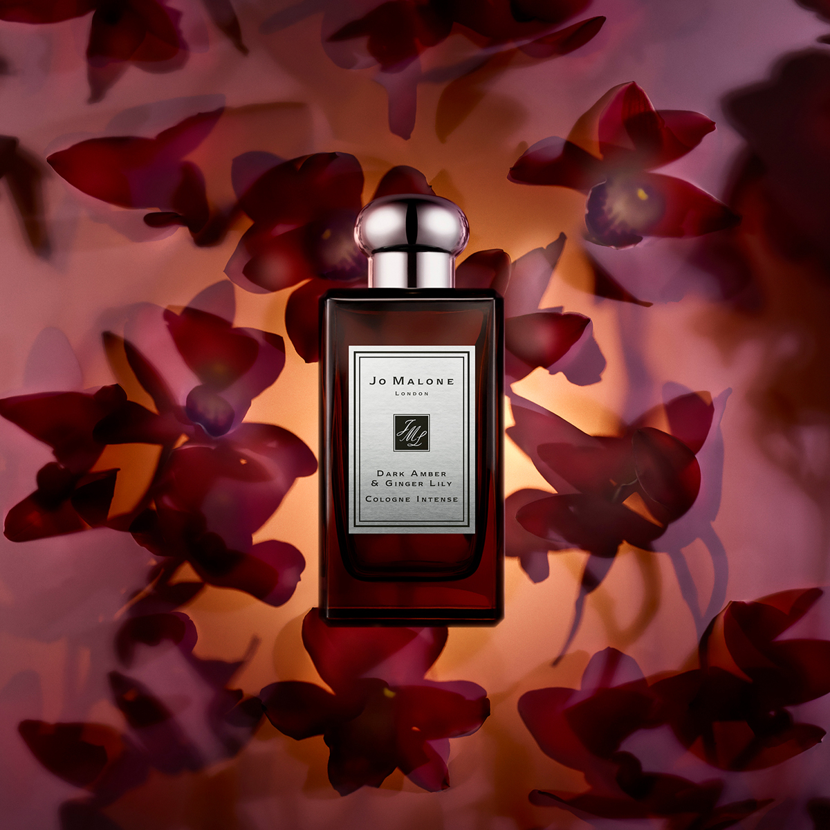 Jo Malone London Dark Amber & Ginger Lily Cologne Intense PrePac