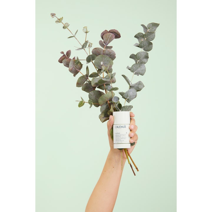 Caudalie Vinofresh Stick Deodorant 50 ml holdes i en hånd sammen med friske eukalyptusgrener.