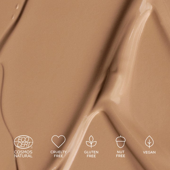 THE CONCEALER