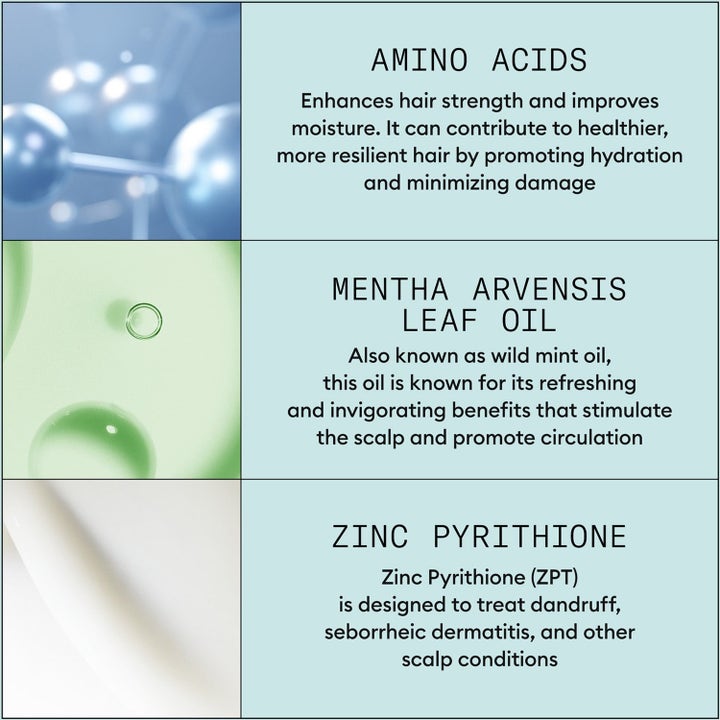 Scalp Recovery Set