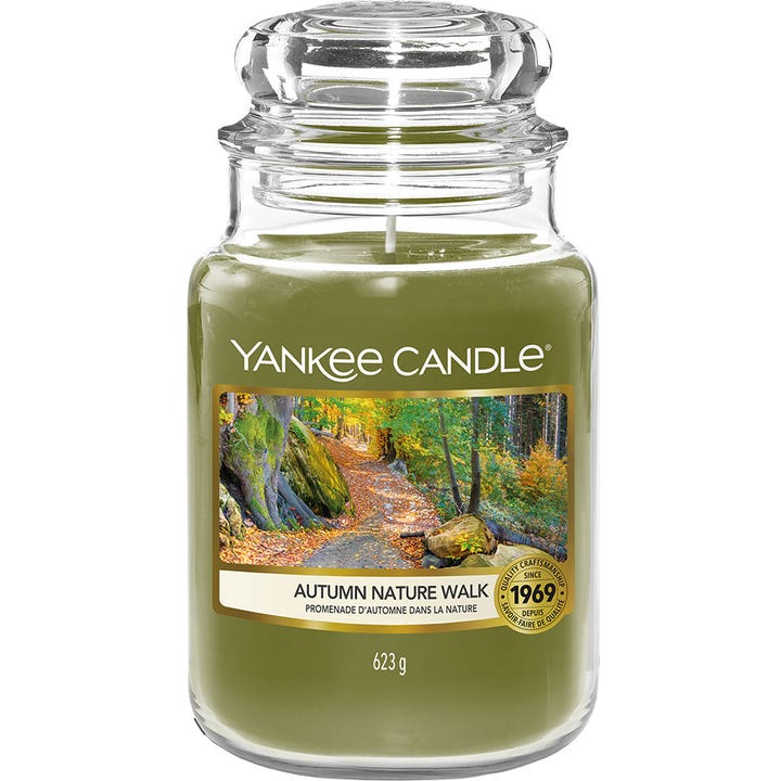 Classic Autumn Nature Walk