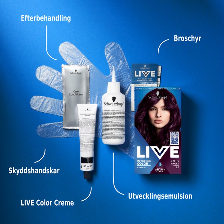 Live Intense Color