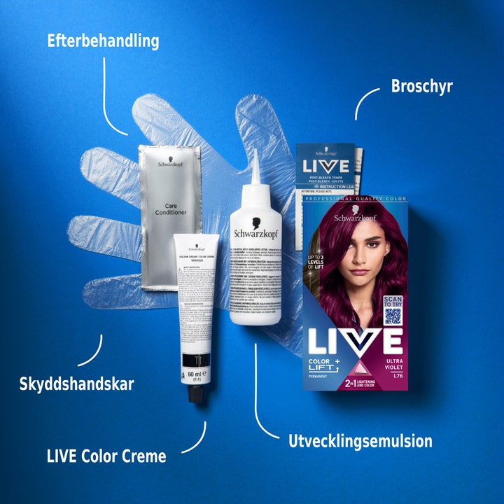 Live Intense Color
