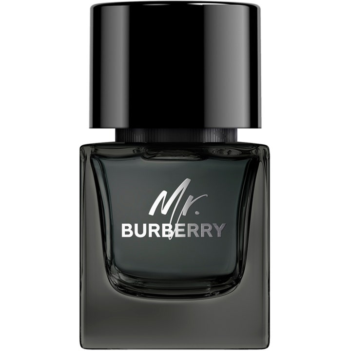 Mr Burberry