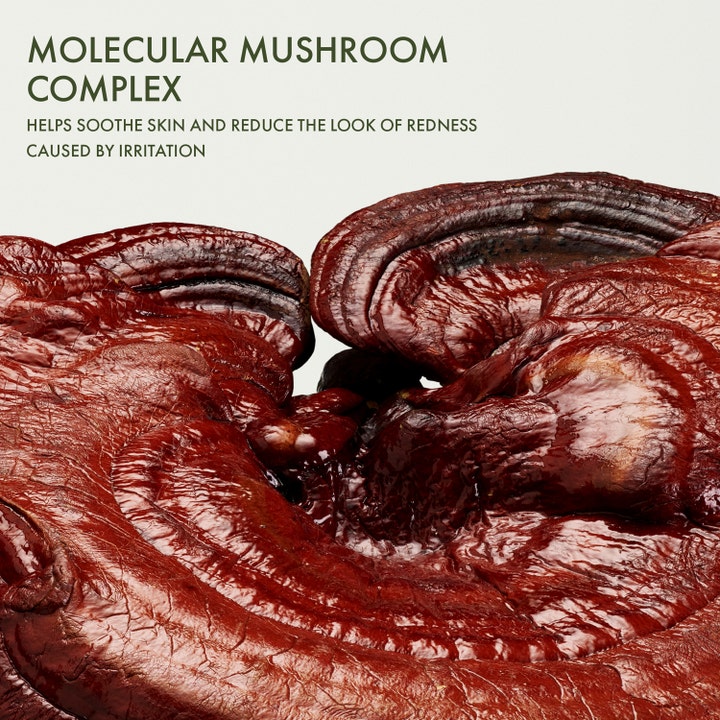 Origins Mega-Mushroom Serum 30 ml reduserer rødhet med Molecular Mushroom Complex vist som en glinsende Reishi-sopp.