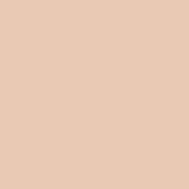 Perfect Matte Serum Foundation