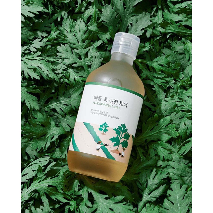 Round Lab Mugwort Calming Toner 300 ml beroligende ansiktsvann på en seng av friske grønne burotblader