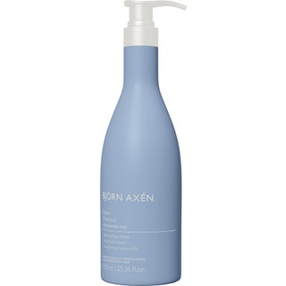 Björn Axén Repair Shampoo