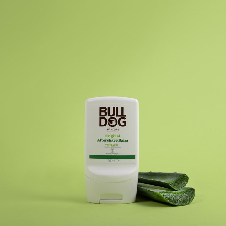 Bulldog Original After Shave Balm 100 ml lindrende aftershave i hvit tube ved siden av friske aloe vera blader.