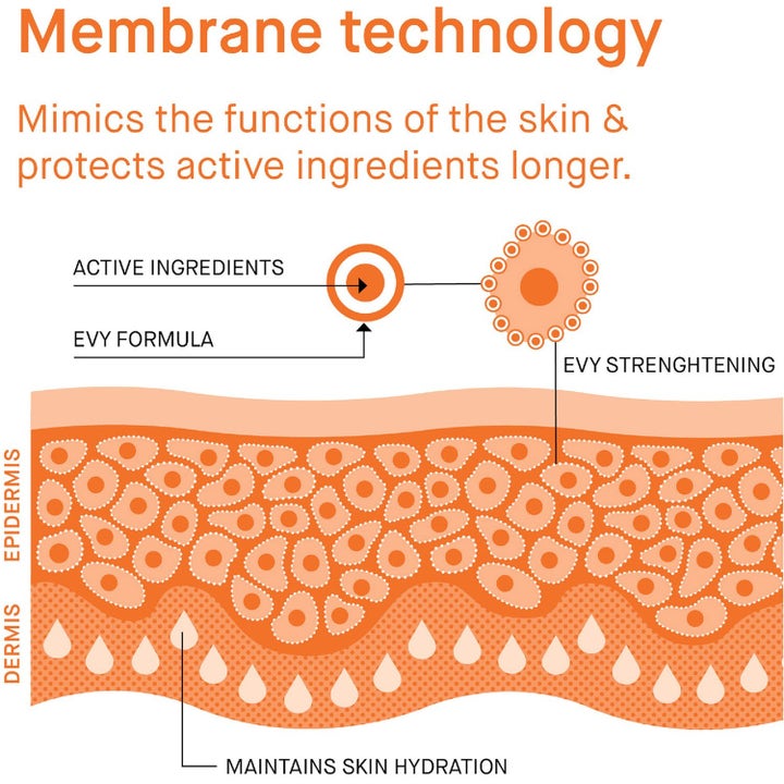 EVY Technology Sun Protection Set 175 ml SPF 50 illustrasjon av membrane technology som styrker og fukter huden