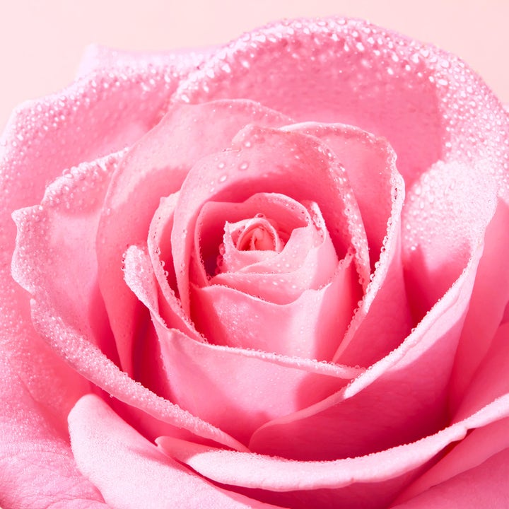 Nuxe Very Rose Gentle Face Scrub 75 ml eksfolierende ansiktsrens med nærbilde av en rosa rose med duggdråper