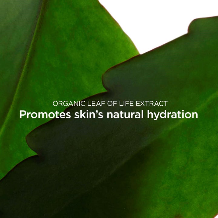 Clarins Fresh Scrub 50 ml ansiktsskrubb med grønt Leaf of Life Extract som gir naturlig fuktighet til huden.