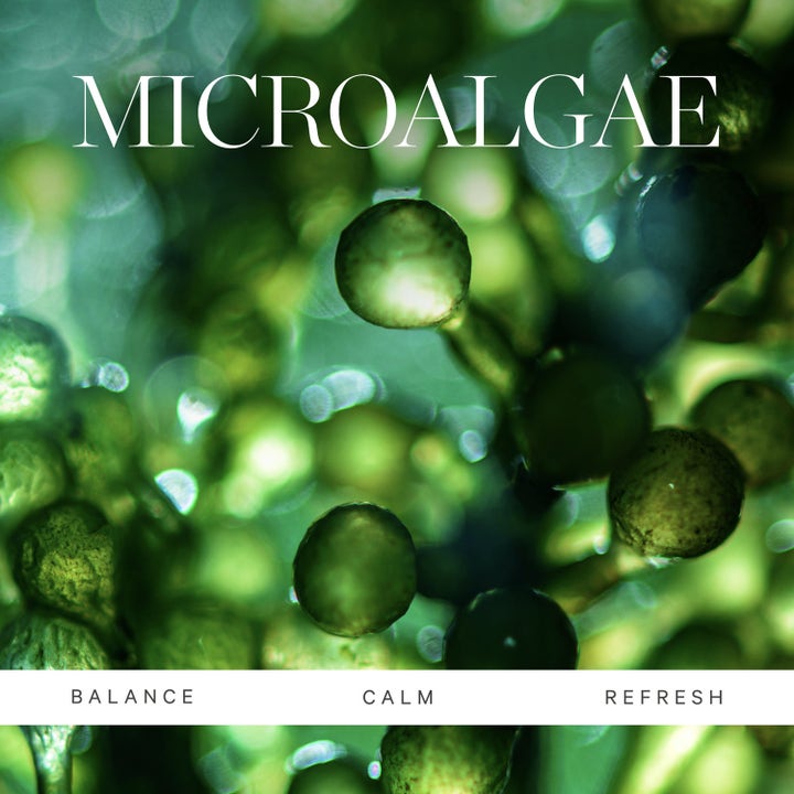 KORA Organics Active Algae Minty Mist 100 ml ansiktsvann viser grønne mikroalger med tekstene Balance, Calm og Refresh.