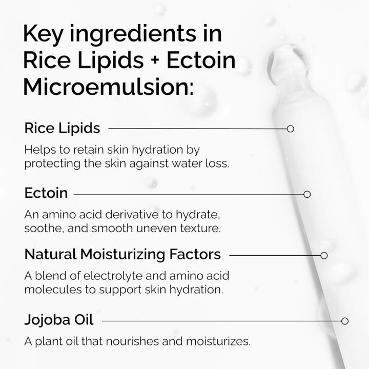 The Ordinary Rice Lipids + Ectoin Microemulsion 60 ml fuktighetsgivende dagkrem med oversikt over nøkkelingredienser